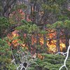 Пожар в Аргентине угрожает национальному парку в Патагонии (фото)