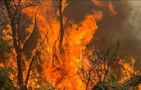Пожар приближается к национальному парку Аргентины