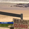 В Австралії серфінгіст загинув від нападу акули