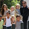 Анджелина Джоли хочет усыновить седьмого ребенка