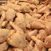 В Украину попали 178 тонн зараженной сальмонеллезом курятины