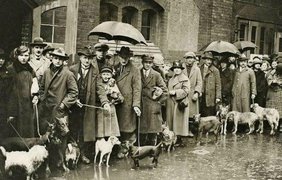 1926. Берлин. Власти ввели налог на содержание домашних питомцев, и люди привели своих собак на центральную площадь в знак протеста.