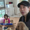 В Японії собак здають в погодинну оренду