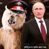 Немецкий телеканал высмеял Путина и фильм про Крым (видео)