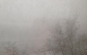 Москву атаковал снежный циклон