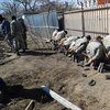 Парк "Юность" в Одессе с дракой зачистили от застройщиков (фото, видео)