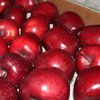 Сербия перепродает России запрещенные польские яблоки