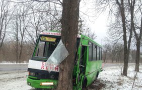 Автобус съехал на обочину и врезался в дерево. Фото ГАИ области