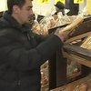 "Київхліб" відкриє 200 кіосків із соціальним хлібом