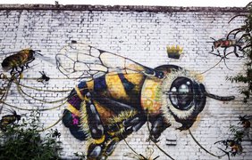 Пчелы в Лондоне