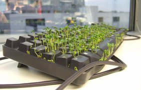 Рассаживаем траву в клавиатуру (осторожно: это ее испортит)