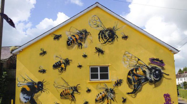 Пчелы рисуют на домах
