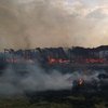 Под Киевом в приюте для животных заживо сгорело 70 собак (фото)