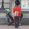 Часовой Букингемского дворца рухнул на глазах у туристов (видео)
