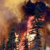 В Забайкалье площадь пожаров выросла до 57 тыс. гектаров