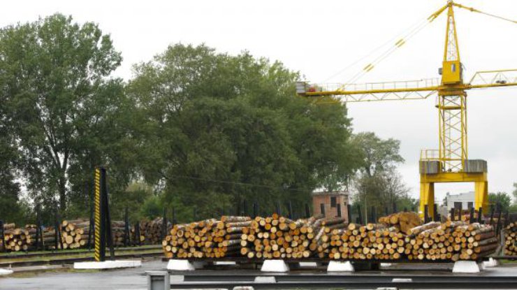 Украина ввела мораторий на вывоз за границу древесины и пиломатериалов