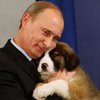 Полковник из Ростова не купит жене собаку после приказа Путина (видео)