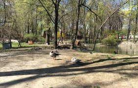 В Киевском зоопарке открыли сезон