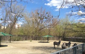 В Киевском зоопарке открыли сезон