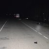 В Ривненской области "Спринтер" раздавил милиционера