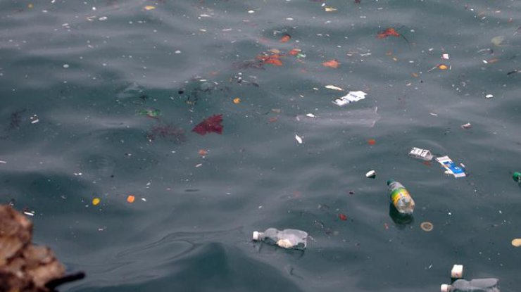 Средиземное море оказалось отравлено микропластиком. фото - horoshiyblog.livejournal.com