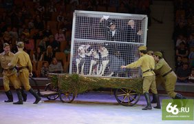 Цирк Екатеринбурга поздравил ветеранов