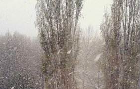 В Крыму накануне курортного сезона пошел снег