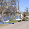 На Івано-Франківщині змінили назву села, щоб не плутали з резиденцією Януковича