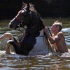 Всадник утонул в озере под Киевом, упав с коня (фото)