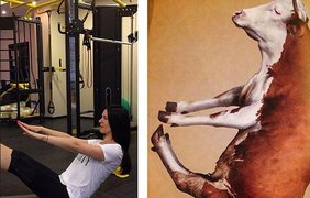 Маша Ефросинина трудится над своей фигурой в спортзале. Фото instagram.com/mashaefrosinina