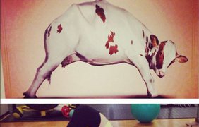 Маша Ефросинина трудится над своей фигурой в спортзале. Фото instagram.com/mashaefrosinina