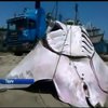 У Перу виловили гігантського ската