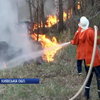 Пожежу в Чорнобилі приборкали, залишилися окремі займання