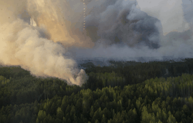 Пожар в лесах Чернобыля - крупнейший с 1992 года. фото - Урядовий портал