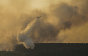 Пожар в лесах Чернобыля - крупнейший с 1992 года. фото - Урядовий портал