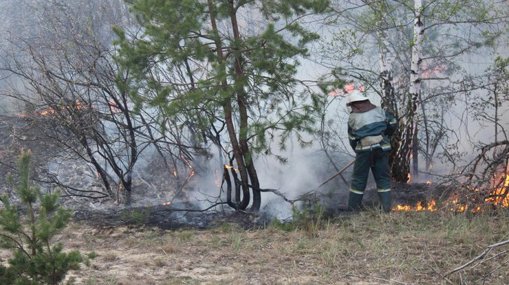 Спасатели устраняют последние очаги пожара в Чернобыле. Фото пресс-службы ГосЧС