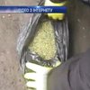 На Буковині затримали наркоділка із 4 кілограмами марихуани