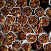 Во Франции сигареты будут продавать в одинаковых пачках