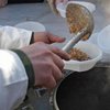 Учителя Луганска работают за порцию каши