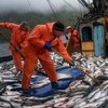 Иностранные моряки с затонувшего "Дальнего Востока" арестованы