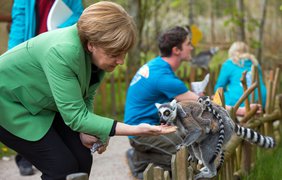 Меркель в зоопарке