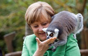 Меркель в зоопарке