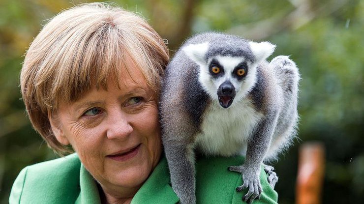 Ангела Меркель подружилась с лемуром