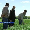 Агрономи та селяни воюють за землі на Київщині