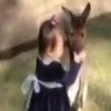 В Австралии кенгуру подружился с 2-летней девочкой (видео)