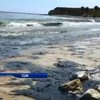 Пляжі Каліфорнії залило нафтою
