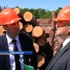 Кабмін збільшив замовлення на деревину для бліндажів Донбасу