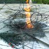 Российские школьники пожарили картошку на Вечном огне (фото)