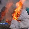 Міліція Хмельниччини спалила тонну наркотиків