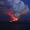 Извержение вулкана угрожает животным Галапагосских островов (фото, видео)